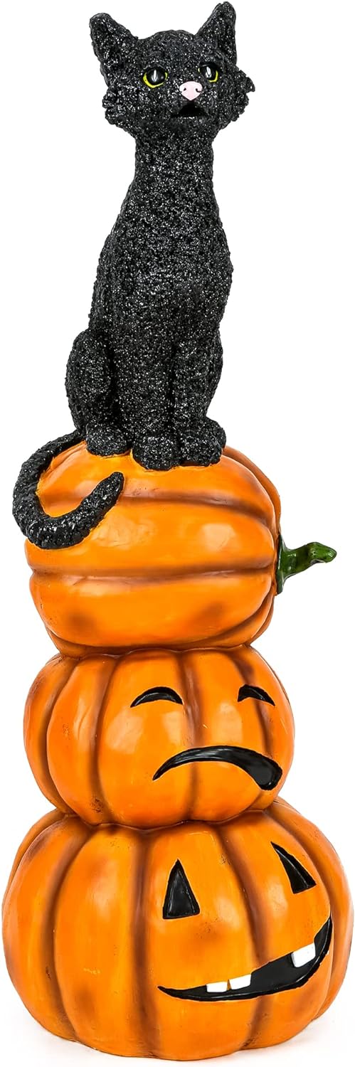 Black cat and a bunch of pumpkins. Halloween collection